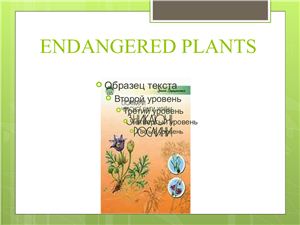 Endangered plants