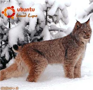 Неворотин Вадим. Руководство по переходу на Ubuntu 10.04 LTS Lucid Lynx