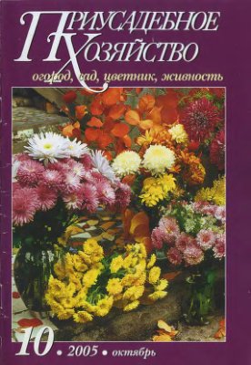 Приусадебное хозяйство 2005 №10