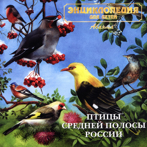 Голоса птиц - Птицы средней полосы России