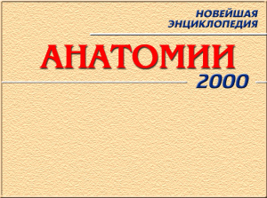 Новейшая Энциклопедия анатомии 2000