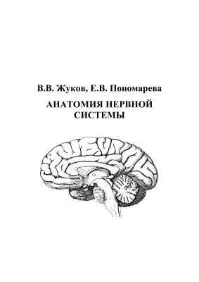 Жуков В.В.,Пономарева Е.В. Анатомия нервной системы