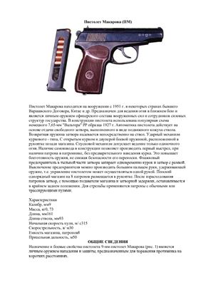 Реферат: Пистолет-пулемет