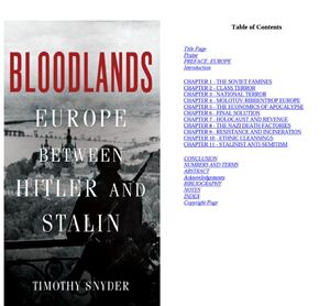 Timothy Snyder. Bloodlands. Europe Between Hitler and Stalin