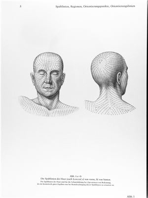 Perinkopf E. Topographische Anatomie des Menschen. Band 4. Topographische und stratigraphische Anatomie des Kopfes