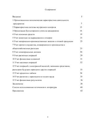 Отчет по производственной практике. Бухгалтерский учет
