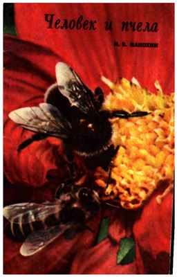 Манохин И.В. Человек и пчела