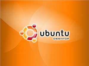 Котёнок Дмитрий. Ubuntu Linux