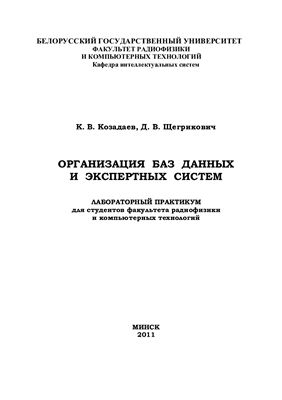 Козадаев К.В., Щегрикович Д.В. Организация баз данных и экспертных систем