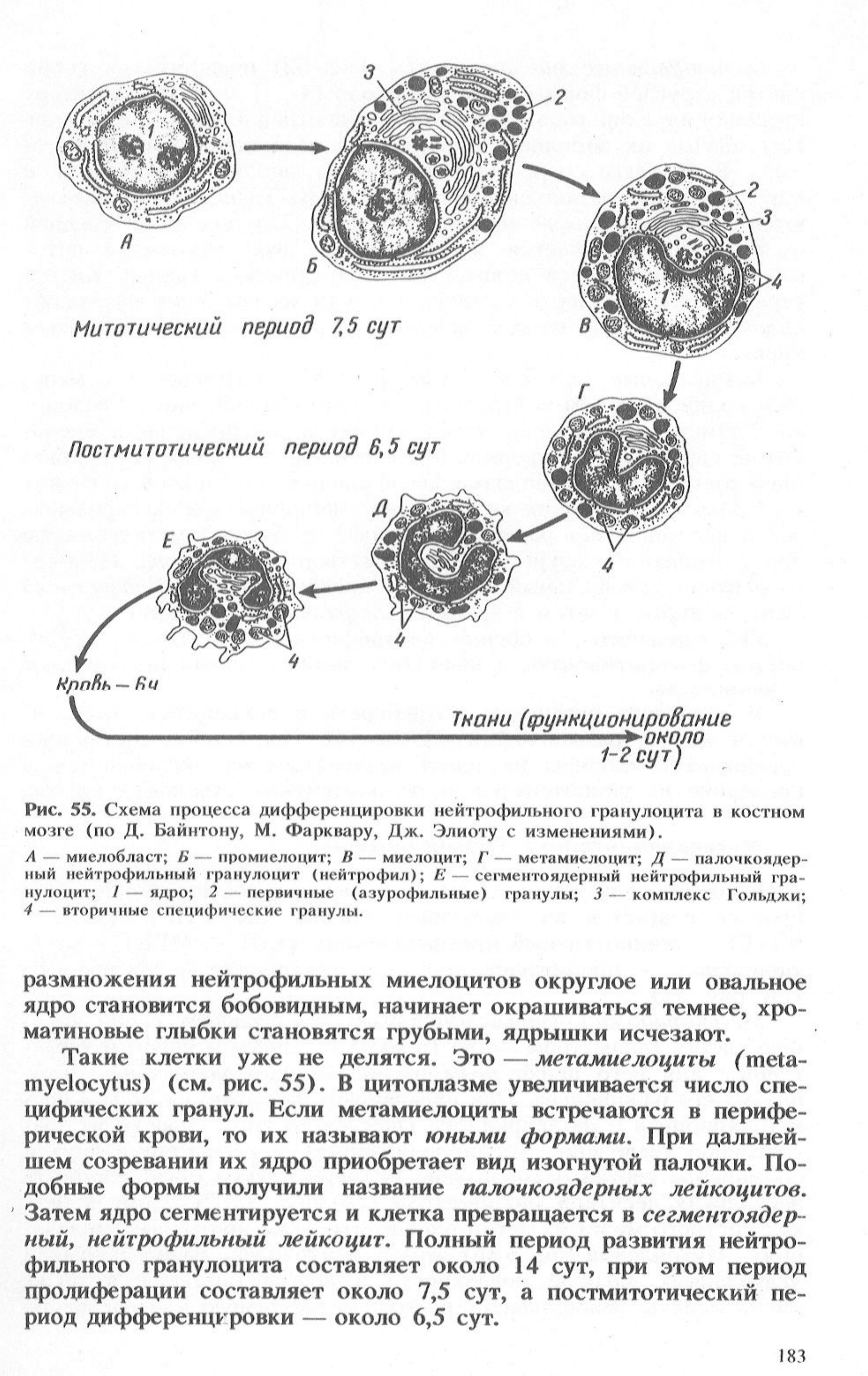 Почему фото печатается темнее чем на экране