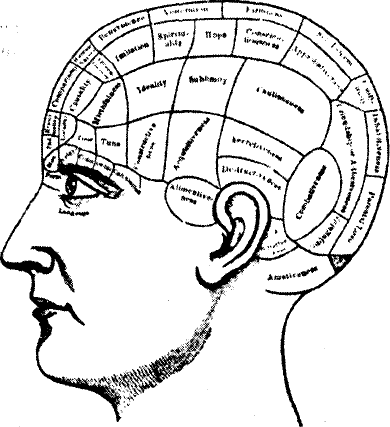 Поле голова. Френологические карты ф.Галля. Френология Франца Галля. Атлас Френология головы. Френологическая карта Галля.