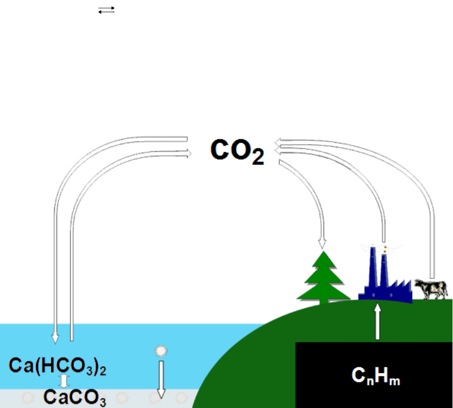 Углекислый газ в мире. Круговорот углекислого газа в природе. Схема углекислого газа. Круговорот со2 в природе схема. Круговорот кислорода и углекислого газа в природе.