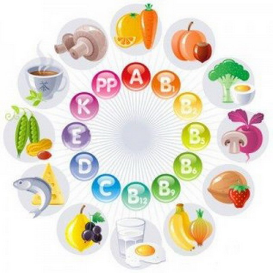 Реферат: Роль витаминов в процессе роста и развития человека