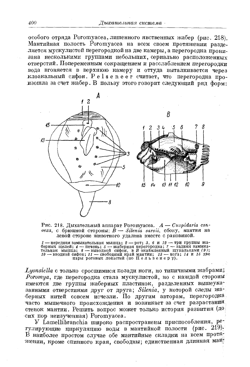 Что значит вводной сифон