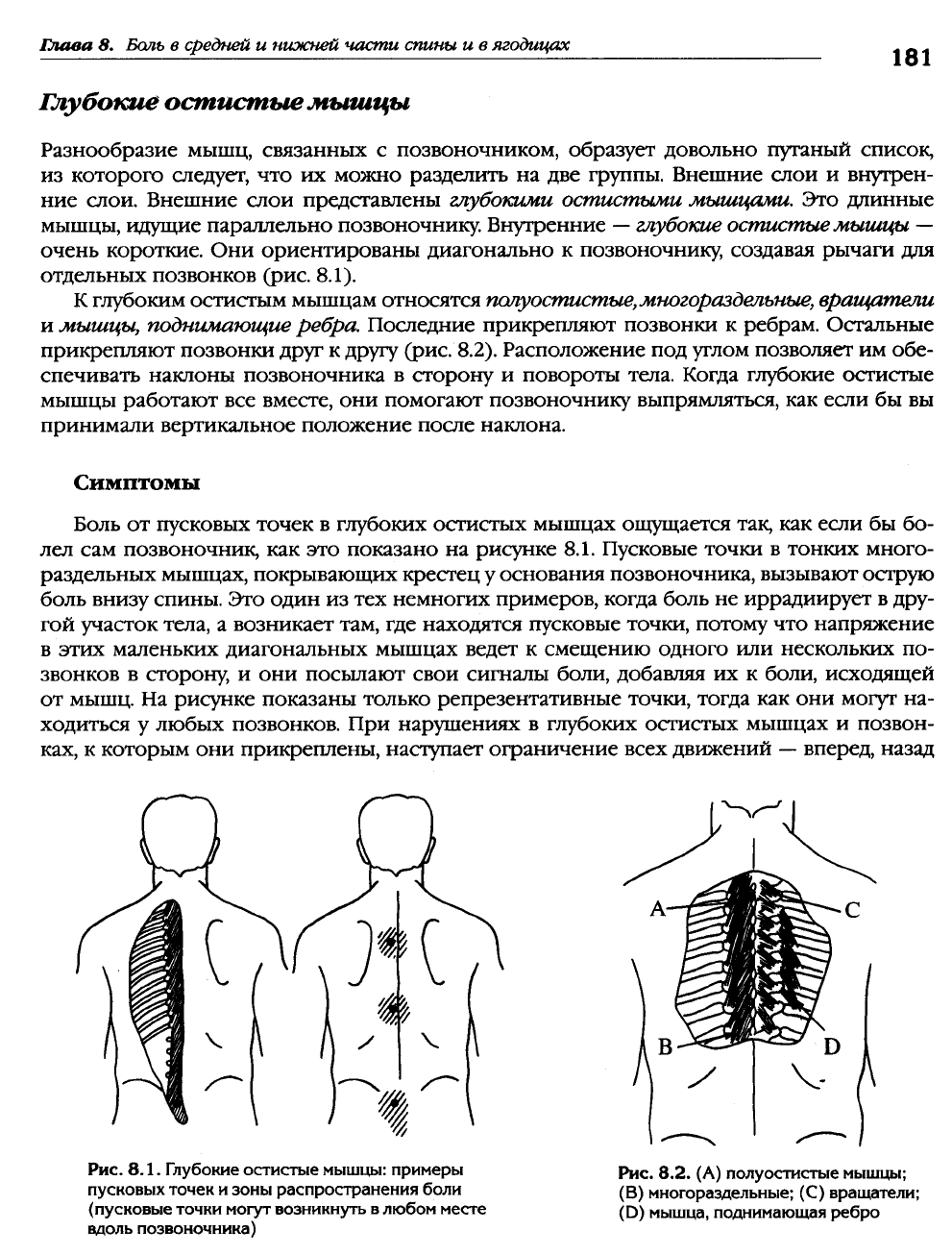 Триггерные точки фото с описанием. Клэр Дэвис триггерные точки. Справочник Клэр Девис триггерные точки. Триггерные точки книга. Болевые точки на спине.