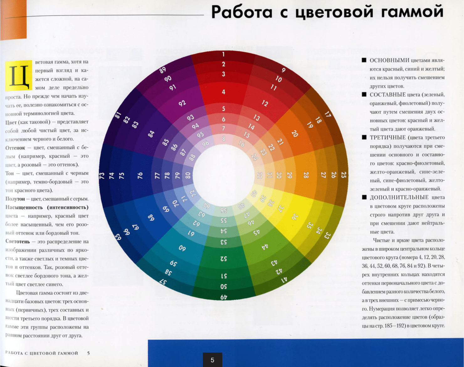 Колористика по фото