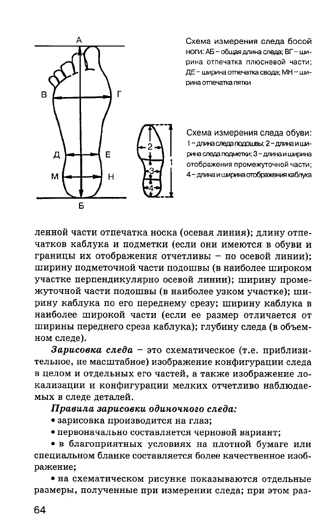 Схема дорожки следов