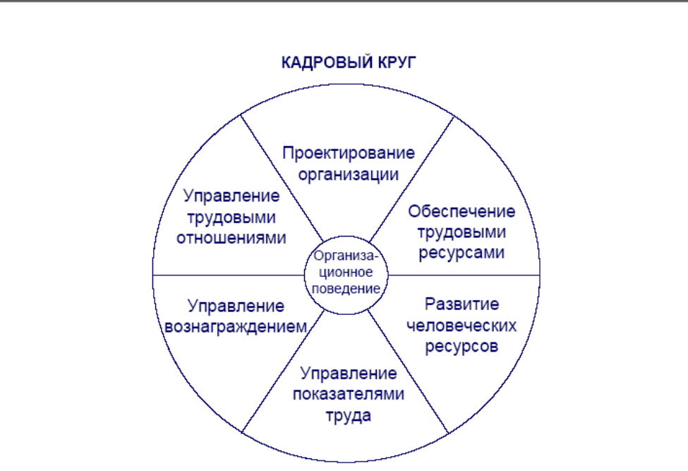 Процессы управления человеческими ресурсами проекта