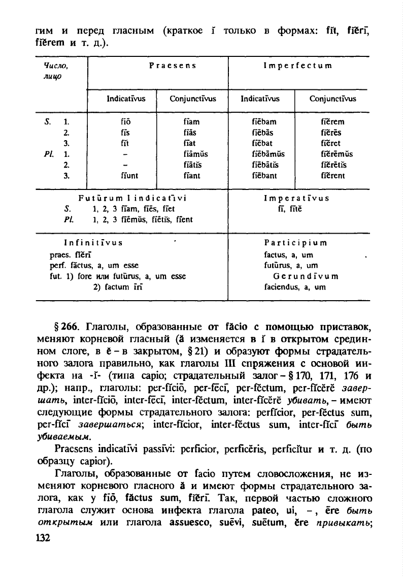 Латинский образец 9 букв